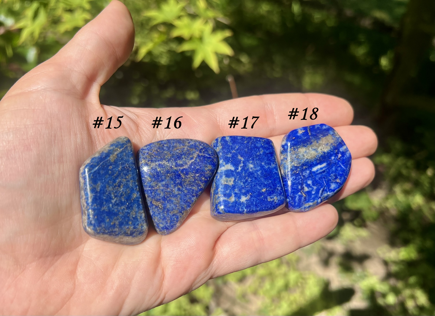 Lapis Lazuli Tumbled Stones ~ Large