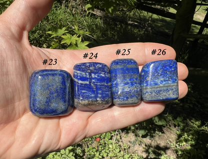 Lapis Lazuli Tumbled Stones ~ Large