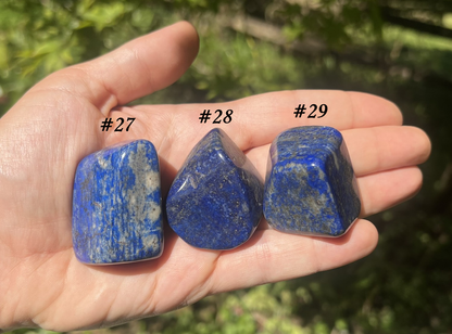 Lapis Lazuli Tumbled Stones ~ Large