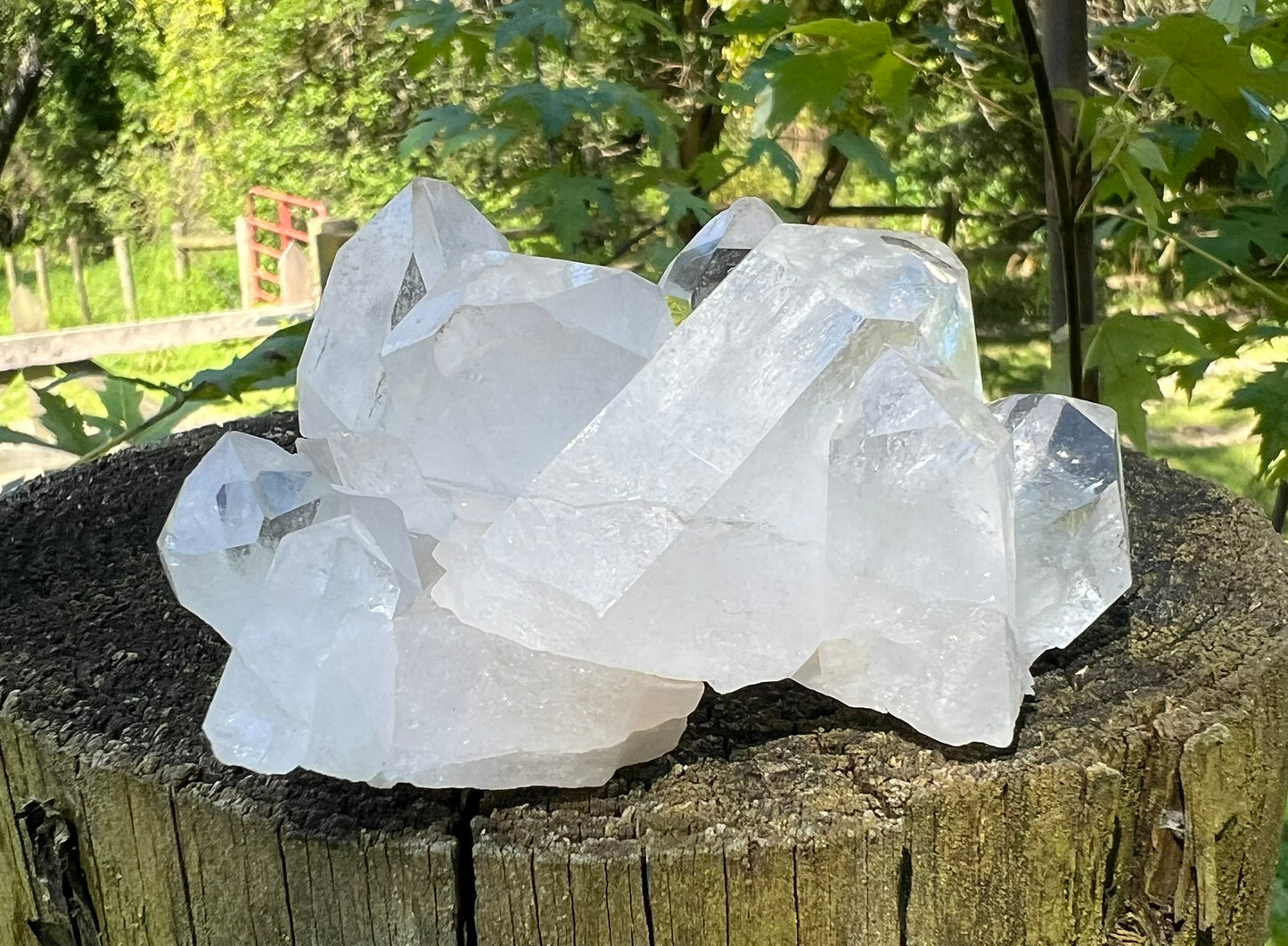 Quartz Crystal Cluster