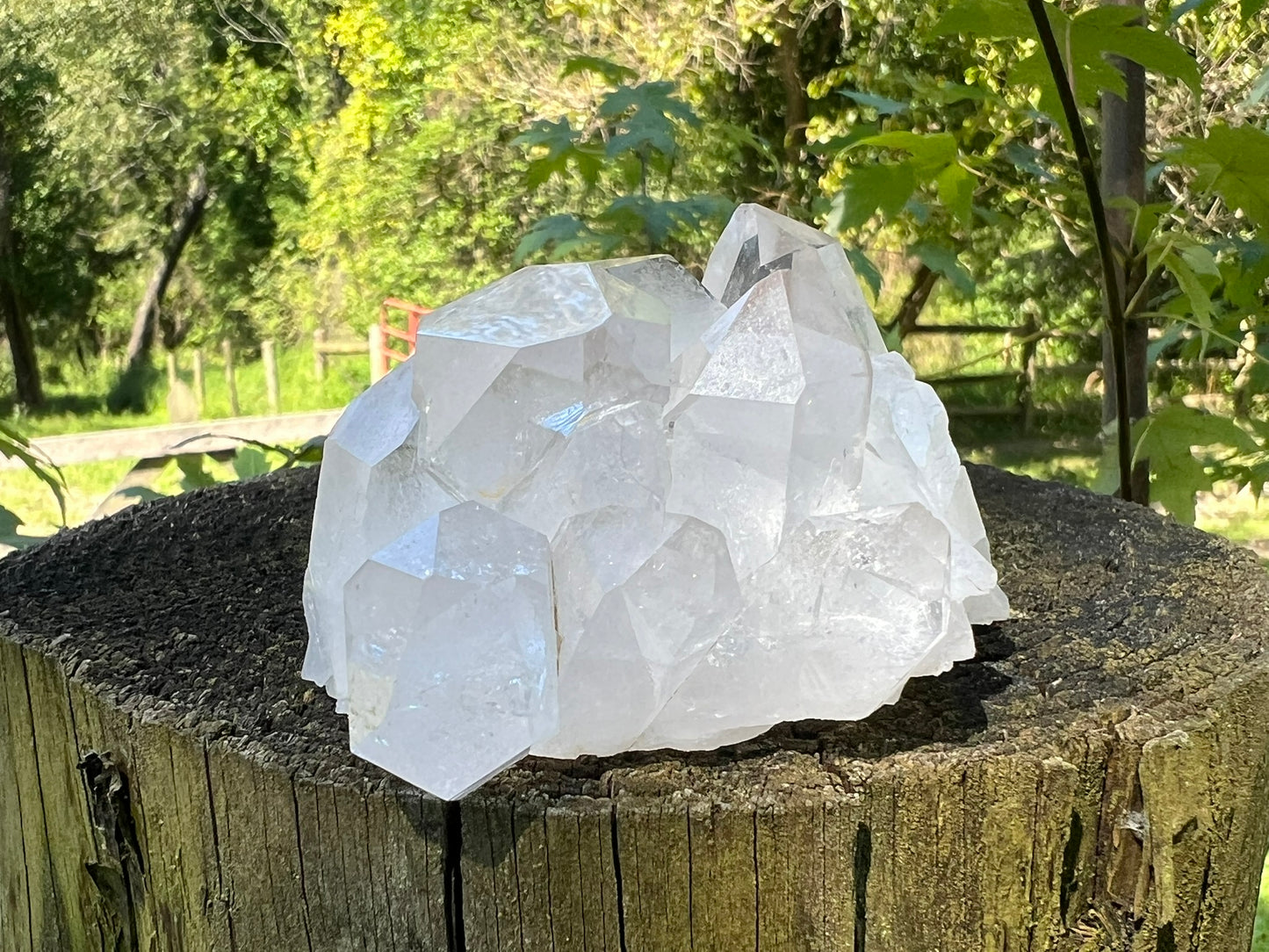 Quartz Crystal Cluster
