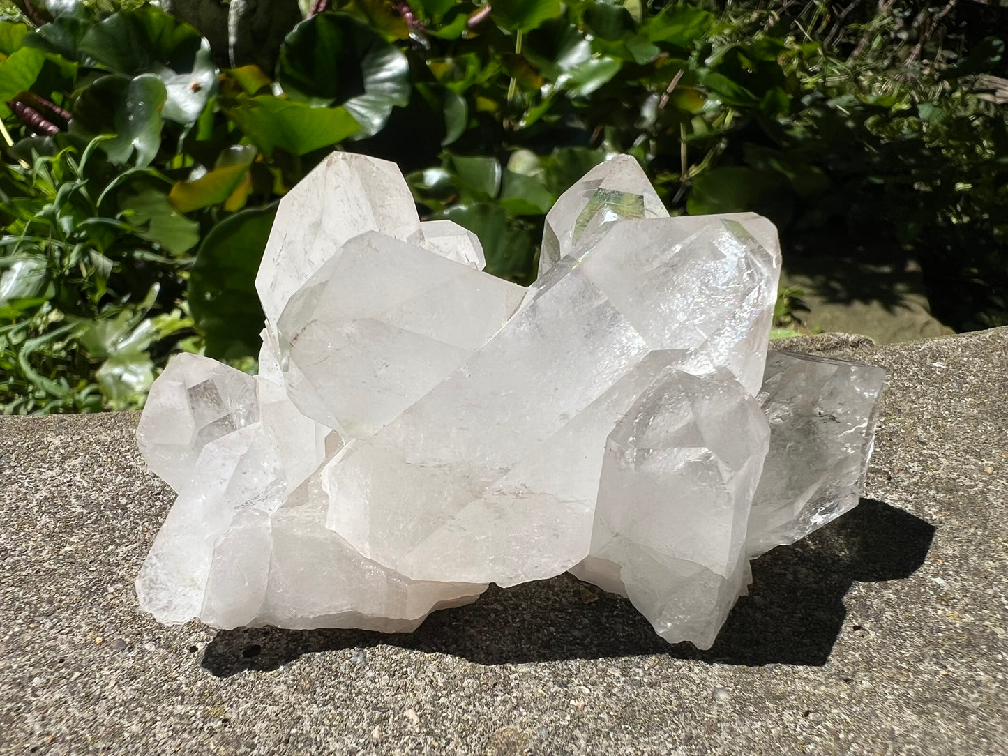 Quartz Crystal Cluster