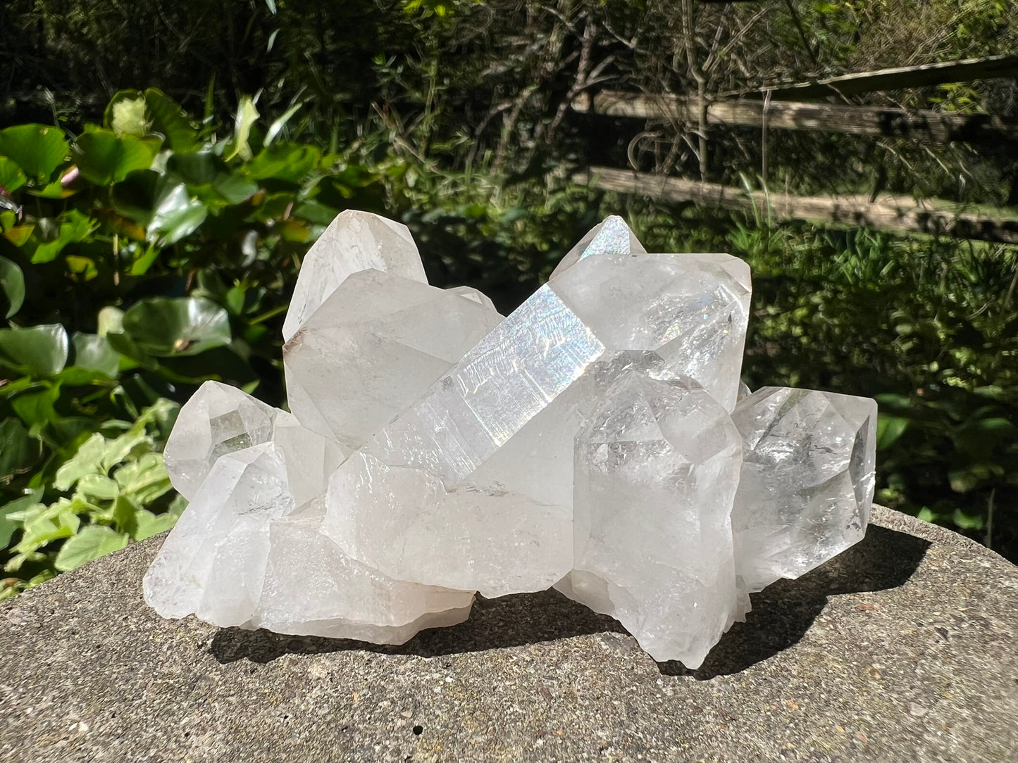 Quartz Crystal Cluster