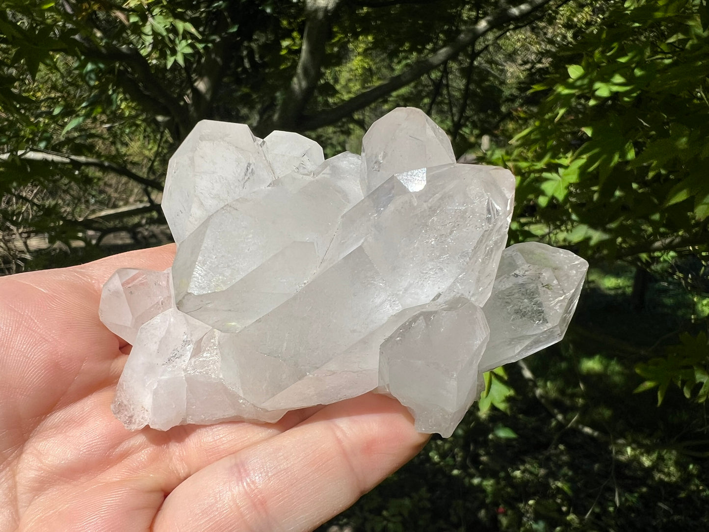 Quartz Crystal Cluster