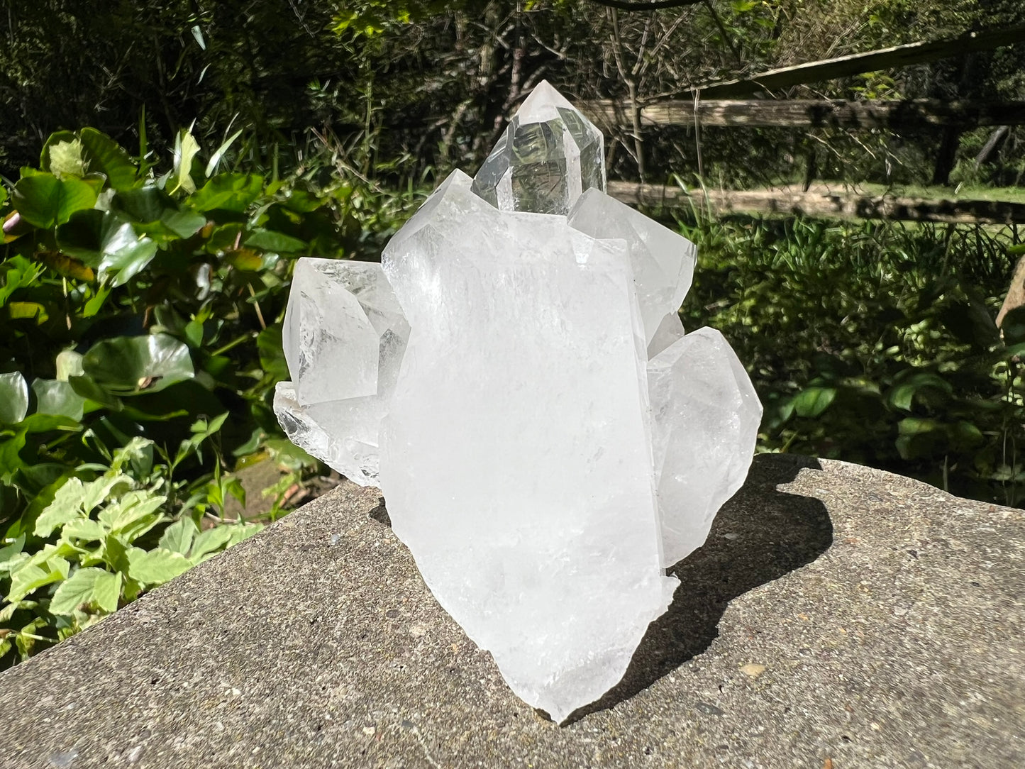 Quartz Crystal Cluster