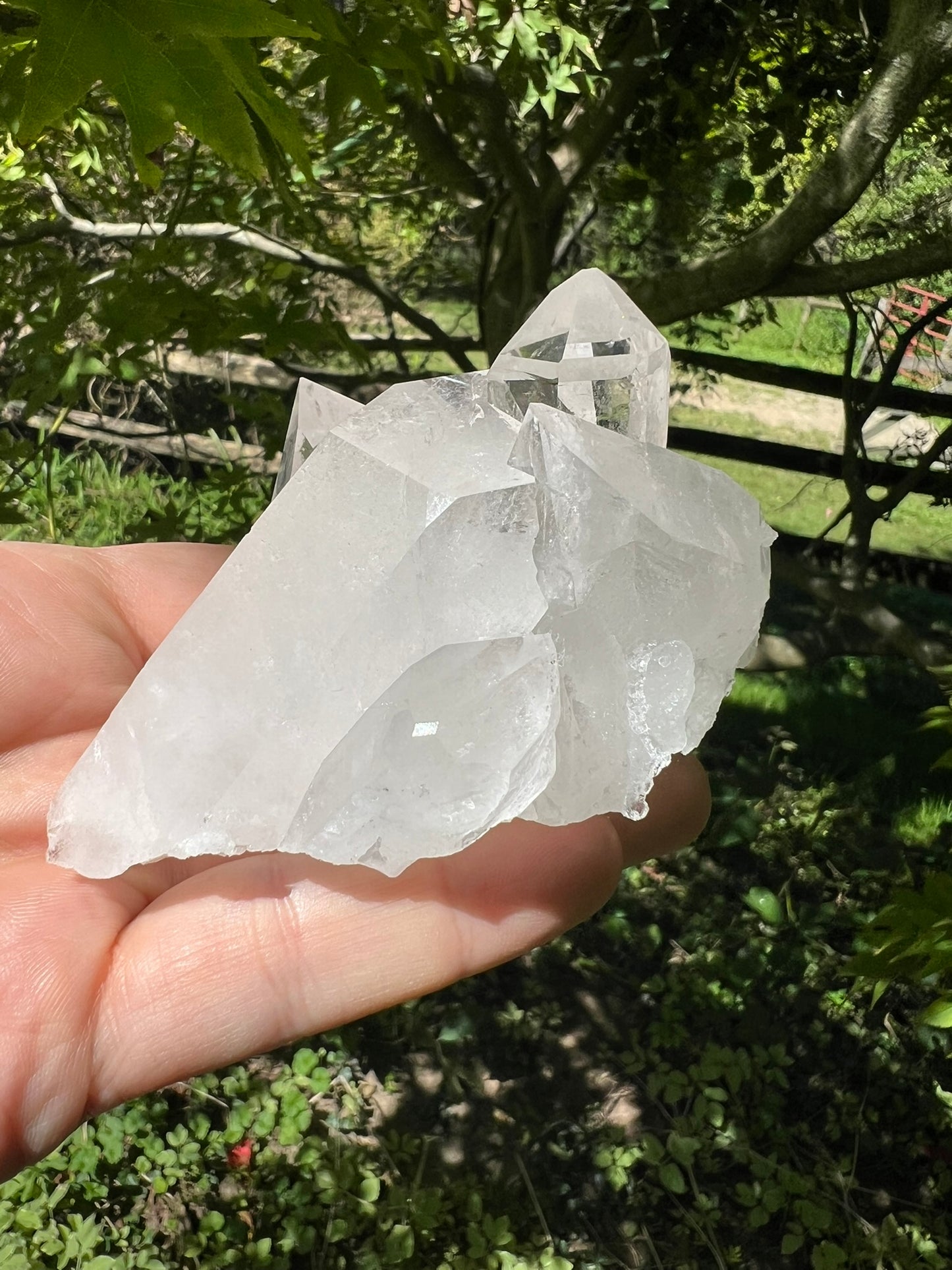 Quartz Crystal Cluster