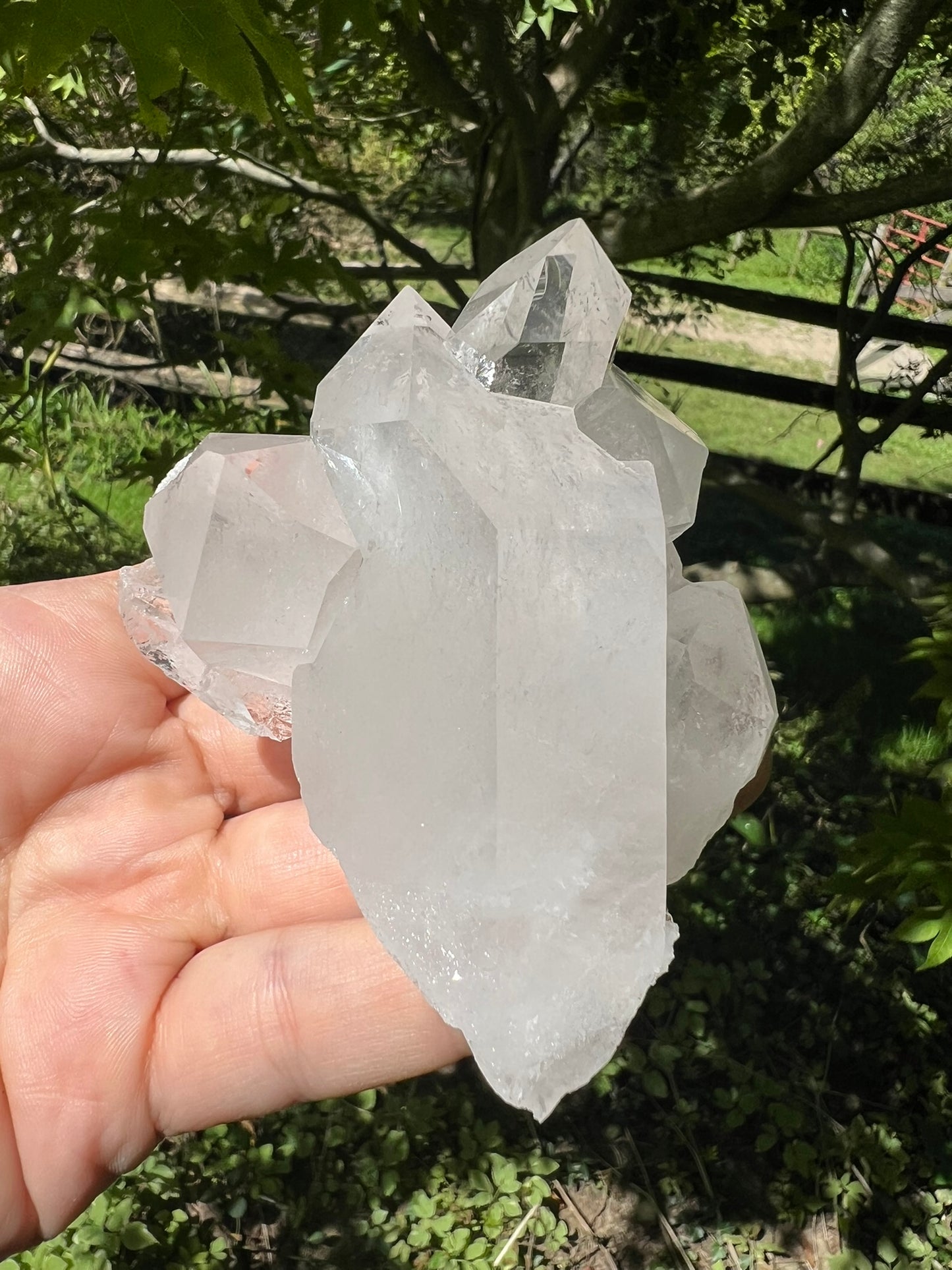 Quartz Crystal Cluster