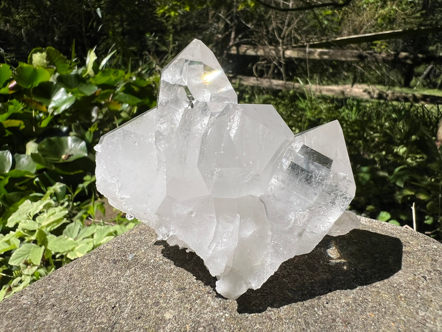 Quartz Crystal Cluster