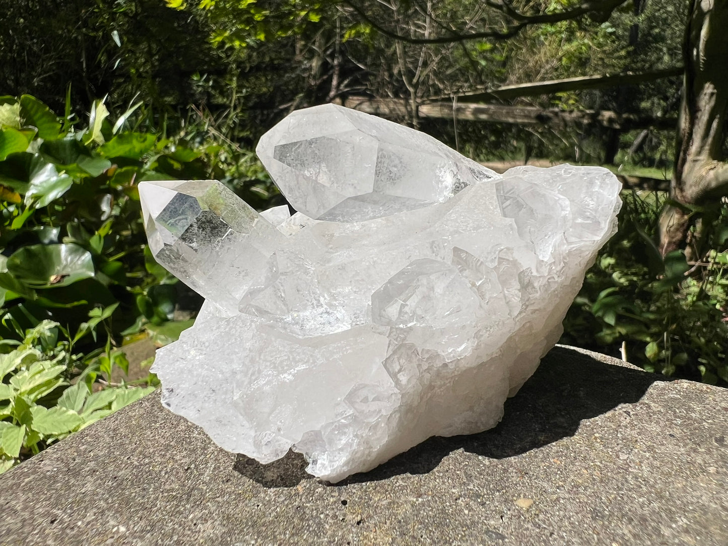 Quartz Crystal Cluster