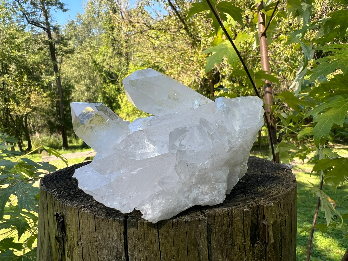 Quartz Crystal Cluster