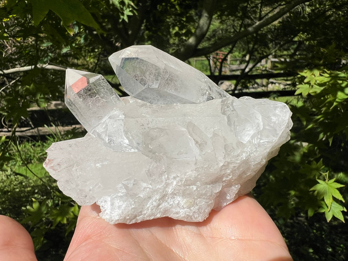Quartz Crystal Cluster