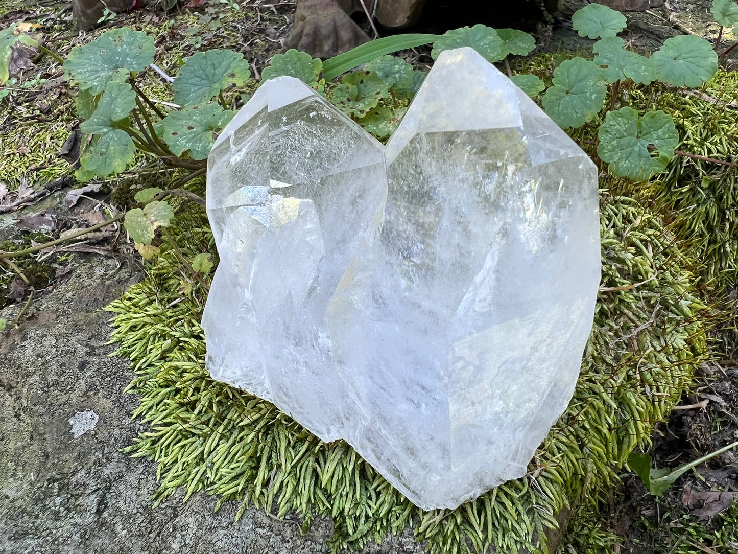 Quartz Crystal Cluster