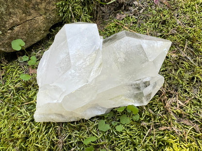 Quartz Crystal Cluster