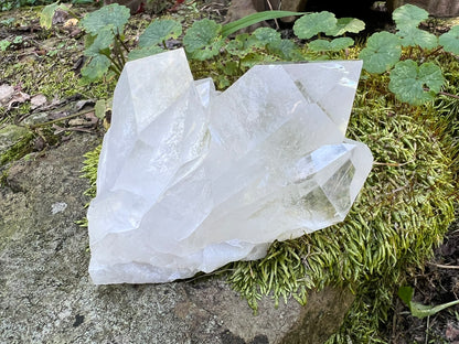 Quartz Crystal Cluster