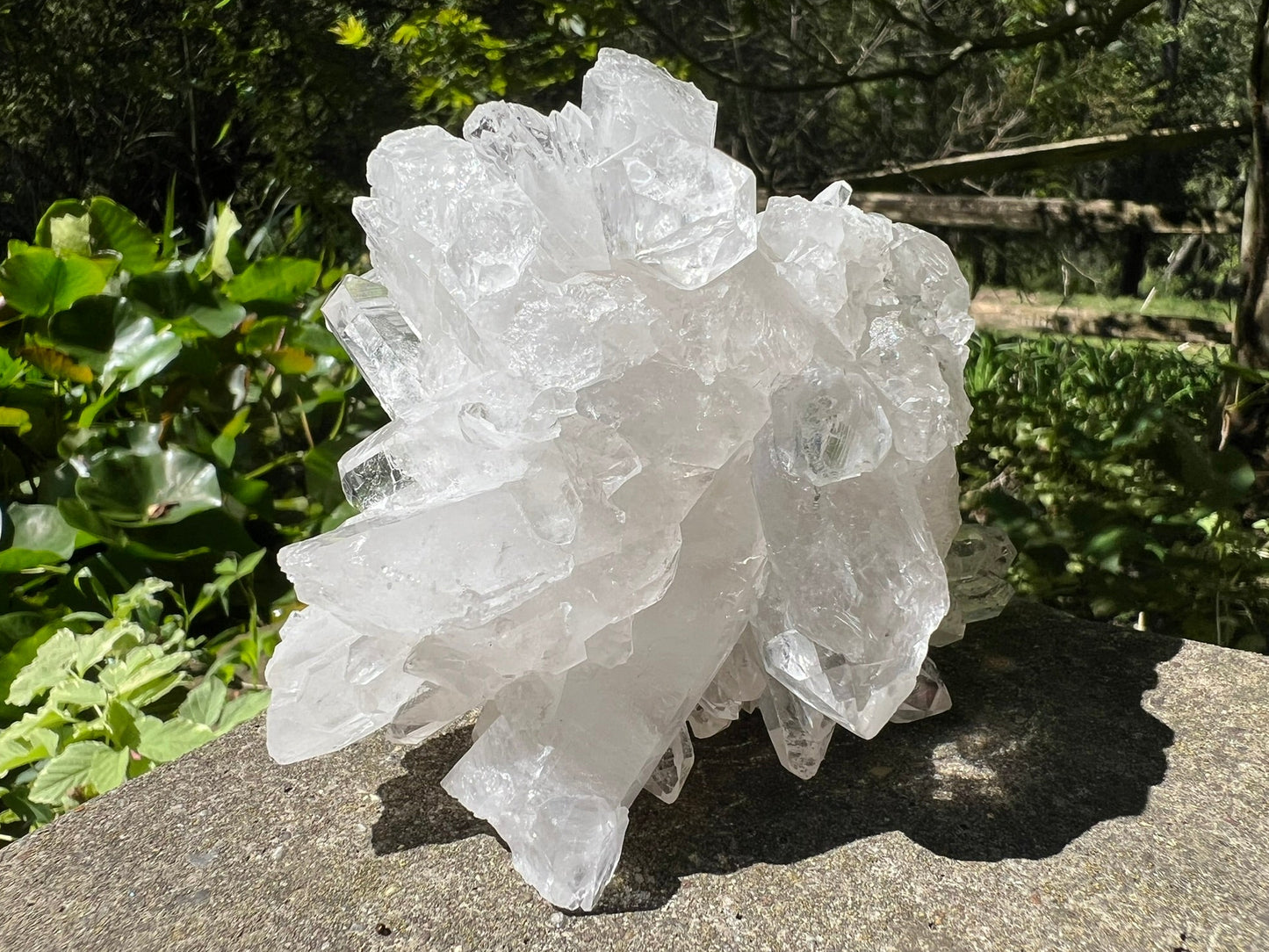 Quartz Crystal Cluster