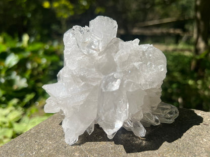 Quartz Crystal Cluster