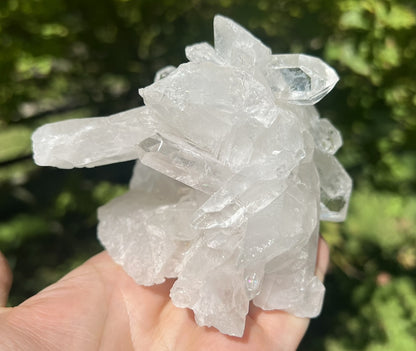 Quartz Crystal Cluster