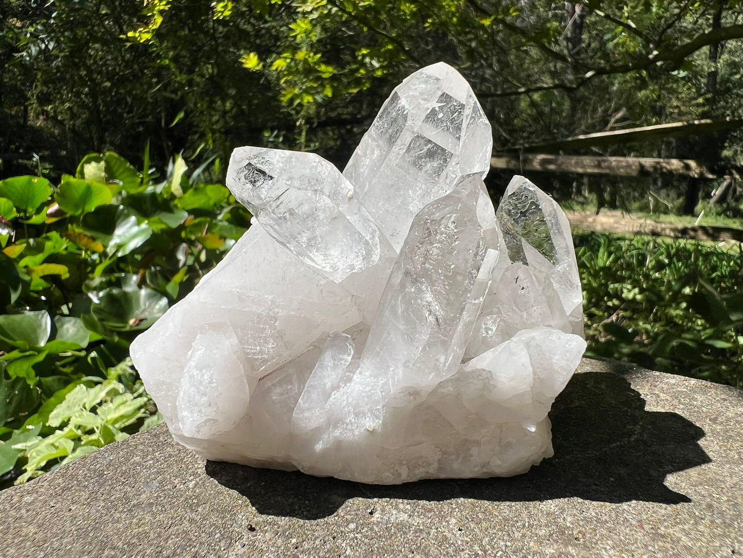 Quartz Crystal Cluster