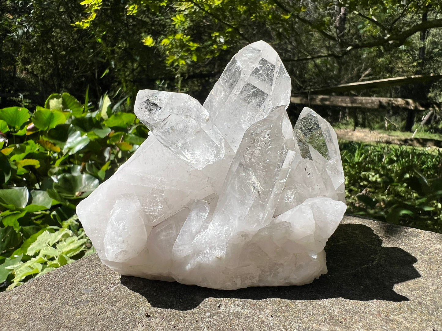 Quartz Crystal Cluster