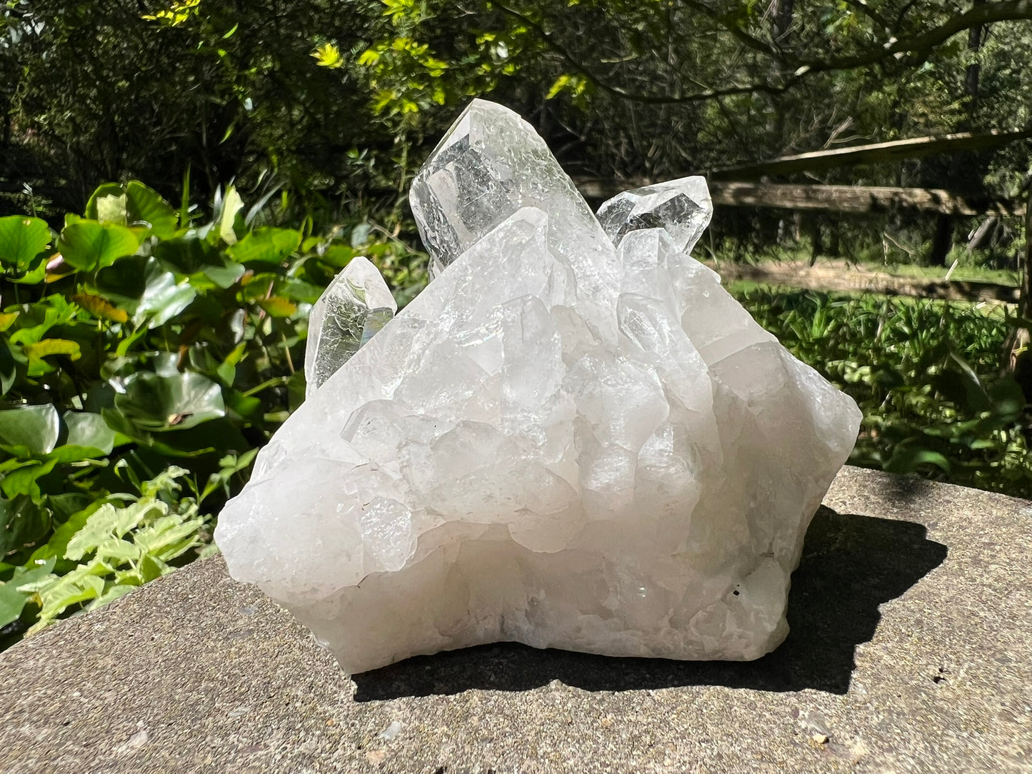 Quartz Crystal Cluster