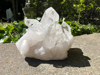 Quartz Crystal Cluster