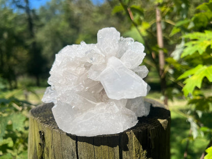 Quartz Crystal Cluster