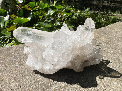 Quartz Crystal Cluster