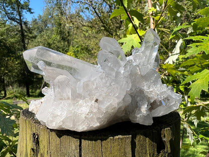 Quartz Crystal Cluster