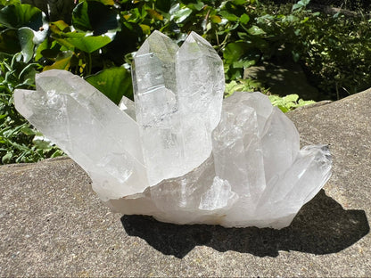 Quartz Crystal Cluster