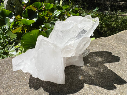 Quartz Crystal Cluster