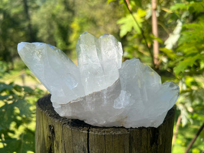 Quartz Crystal Cluster