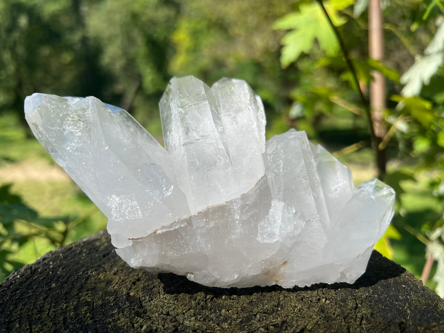 Quartz Crystal Cluster