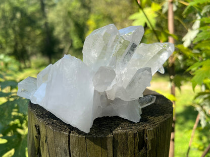 Quartz Crystal Cluster