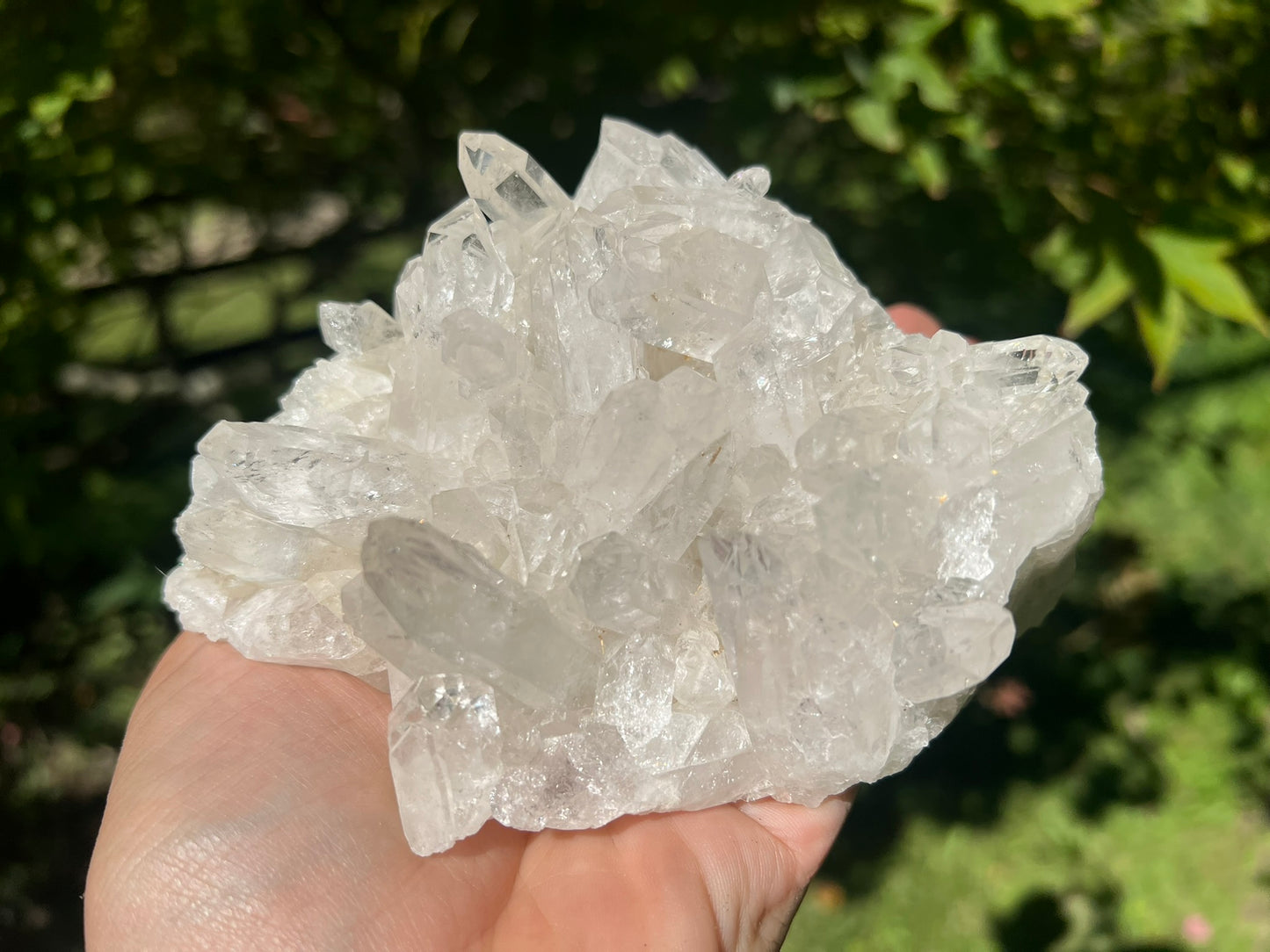 Quartz Crystal Cluster