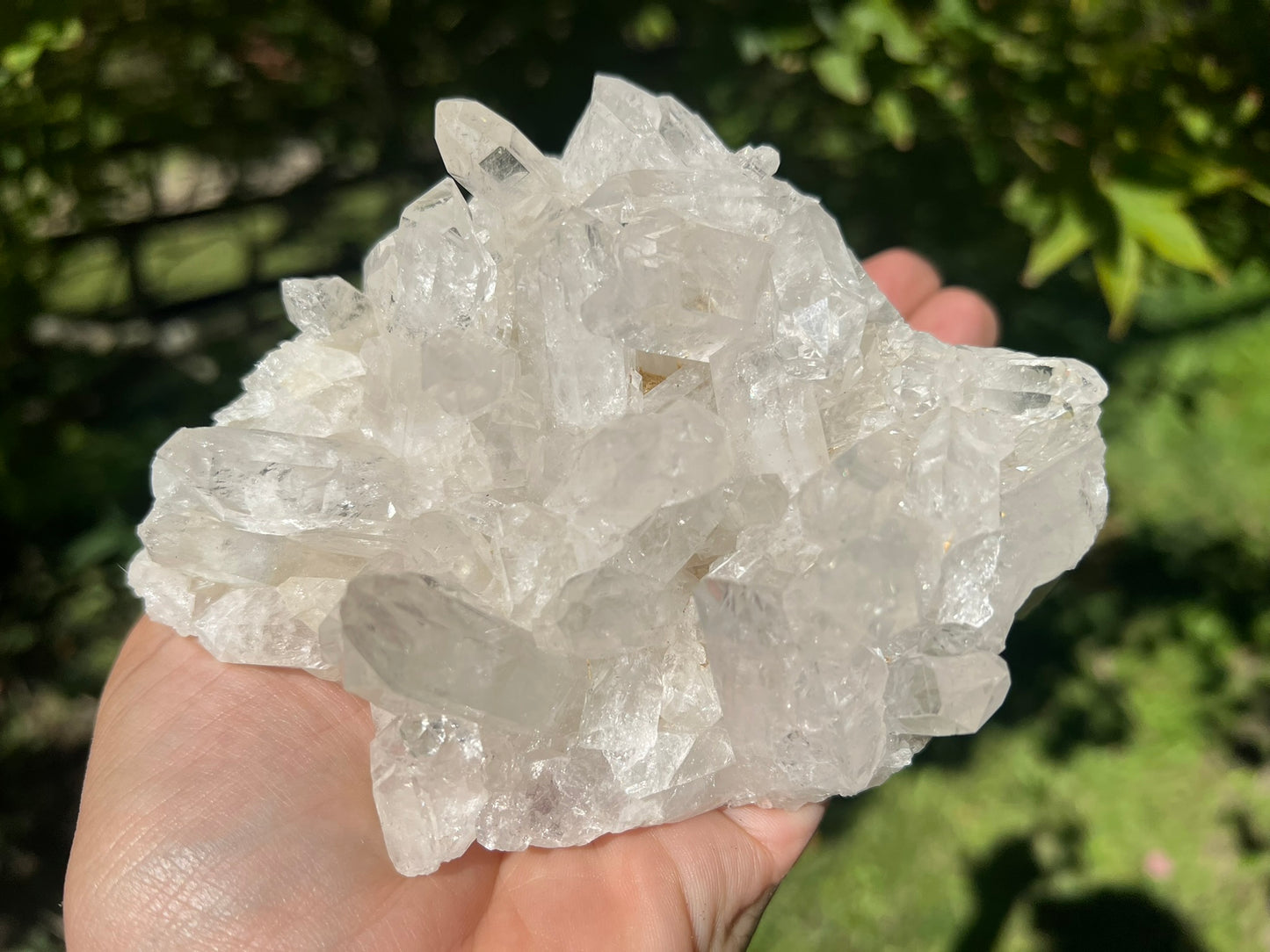 Quartz Crystal Cluster