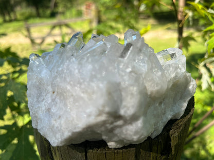 Quartz Crystal Cluster