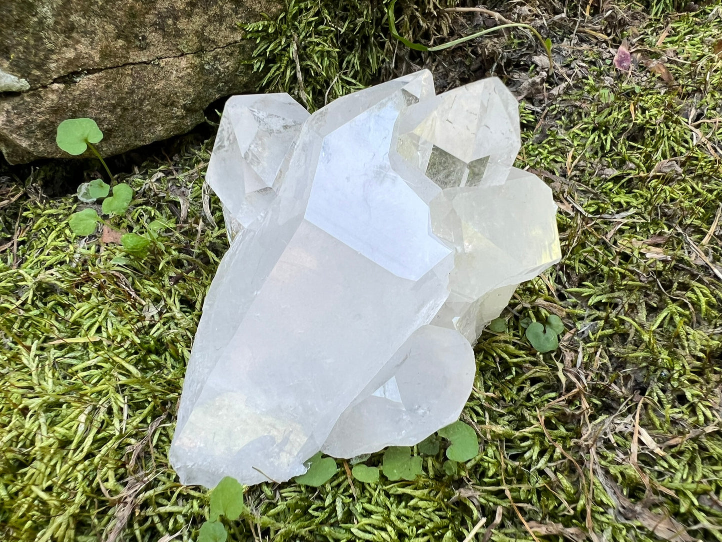Quartz Crystal Cluster