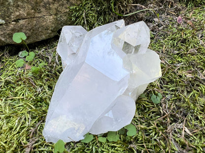 Quartz Crystal Cluster