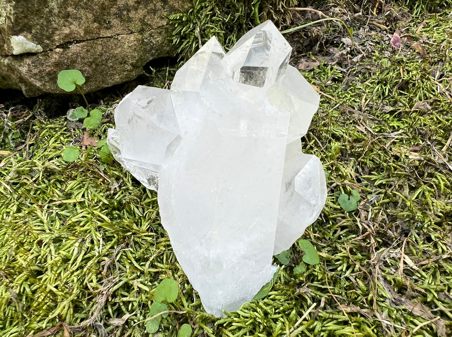 Quartz Crystal Cluster