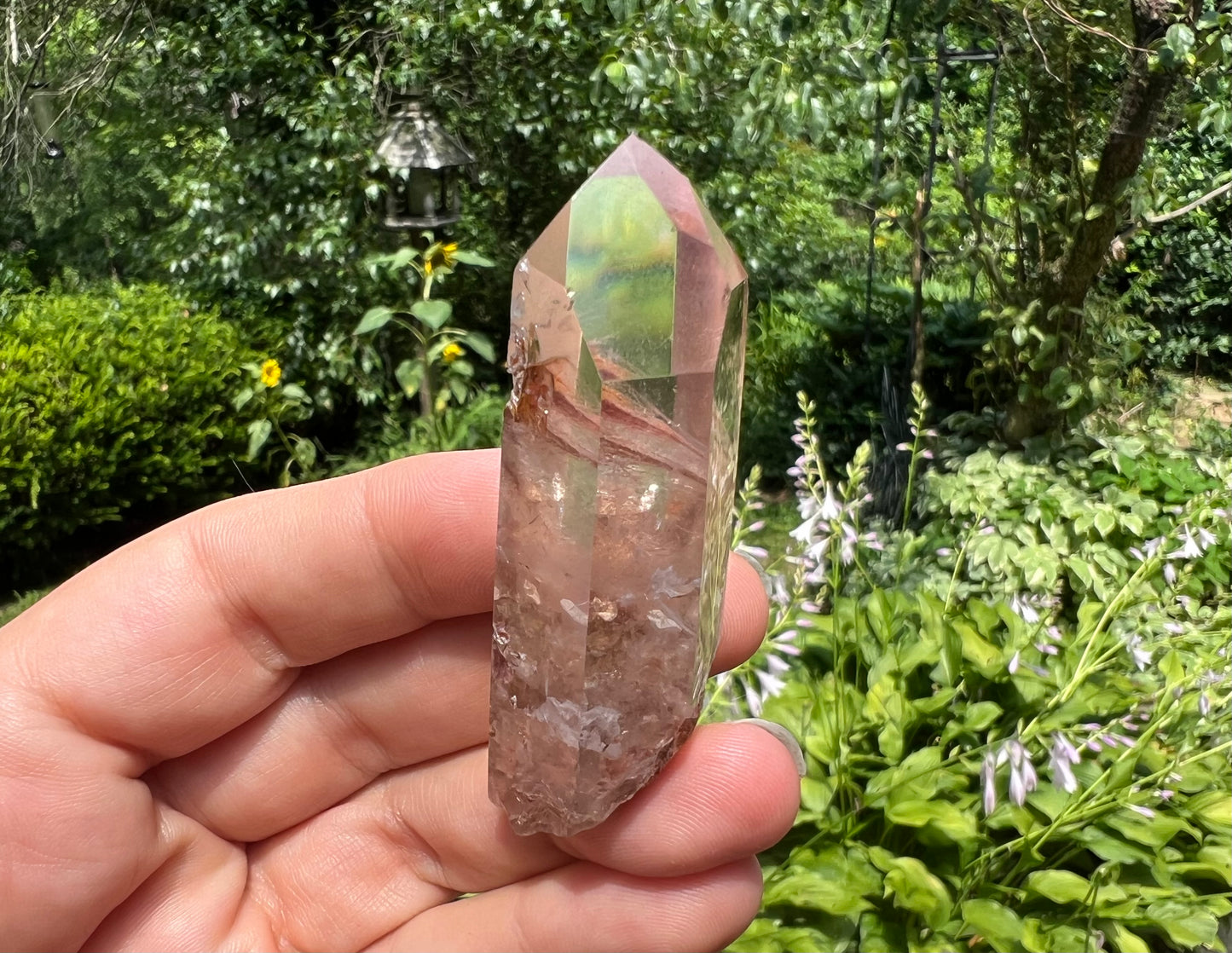 Amphibole Quartz Point