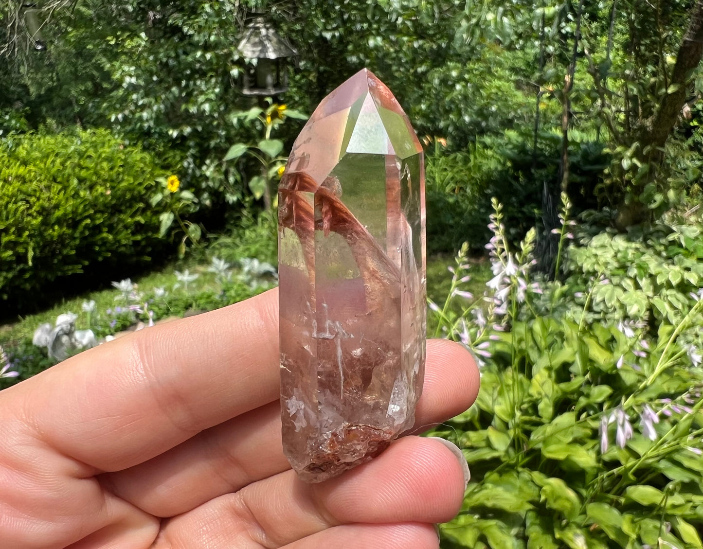 Amphibole Quartz Point