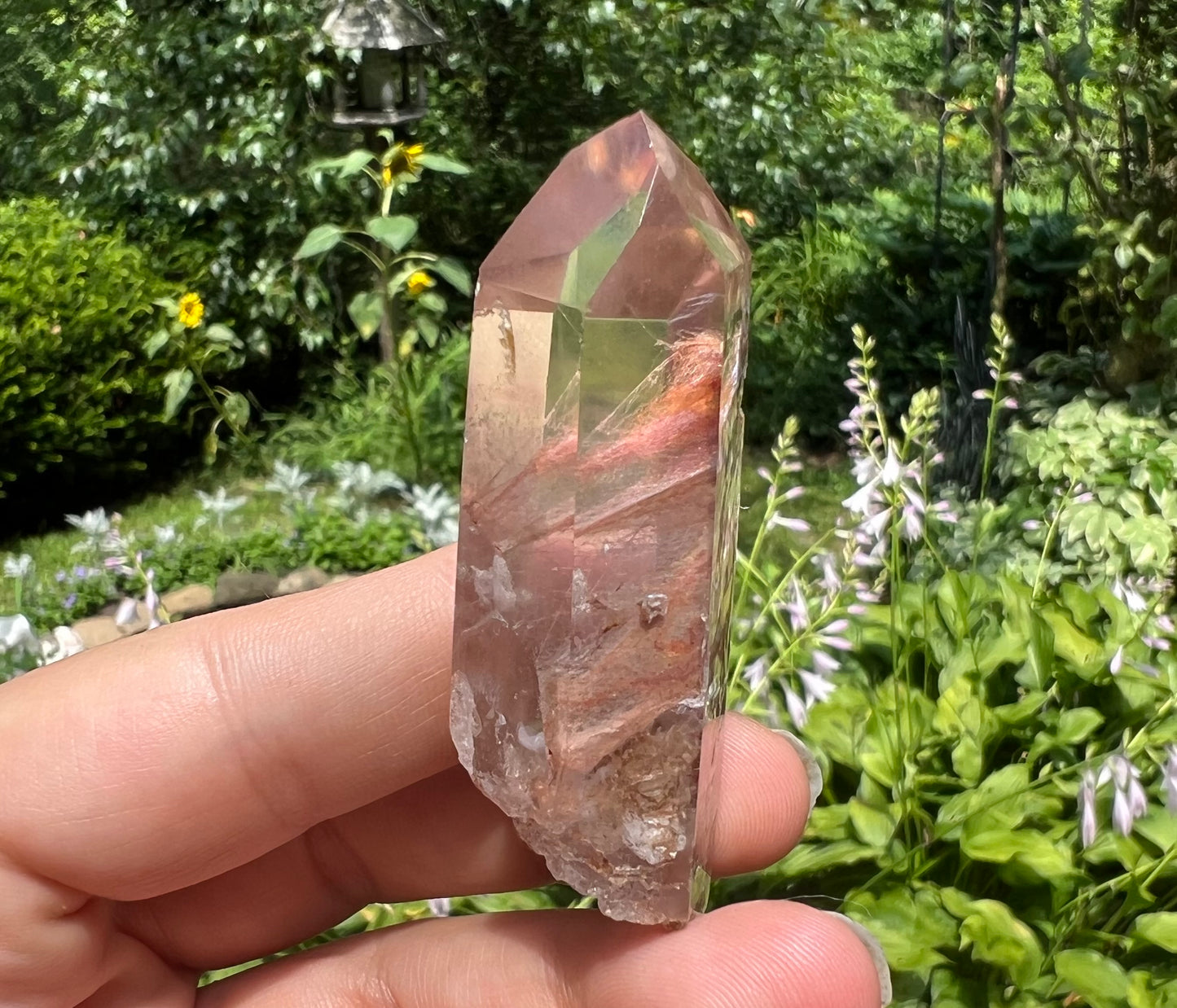 Amphibole Quartz Point