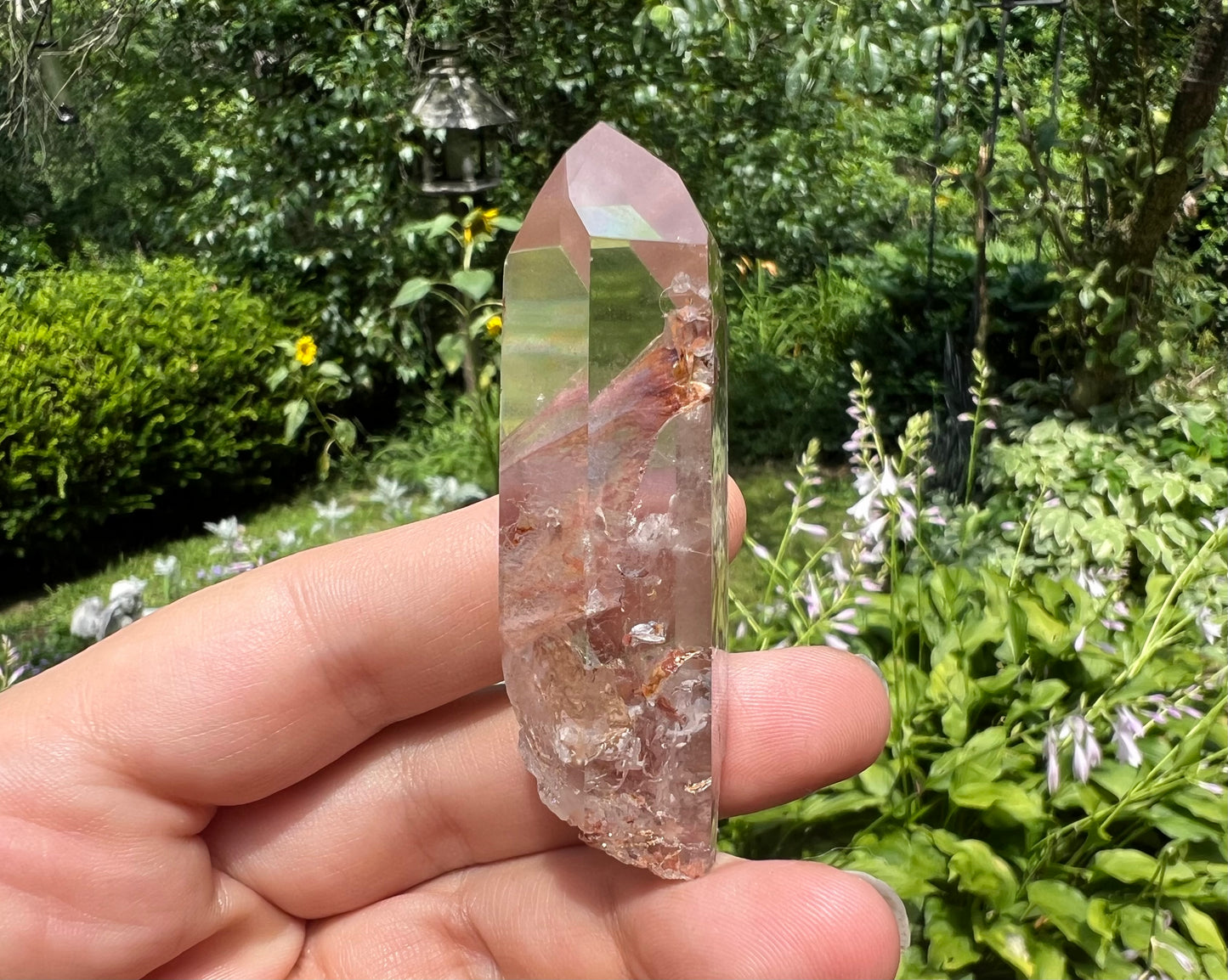 Amphibole Quartz Point