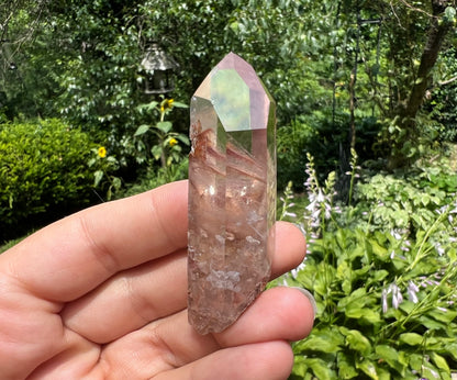 Amphibole Quartz Point