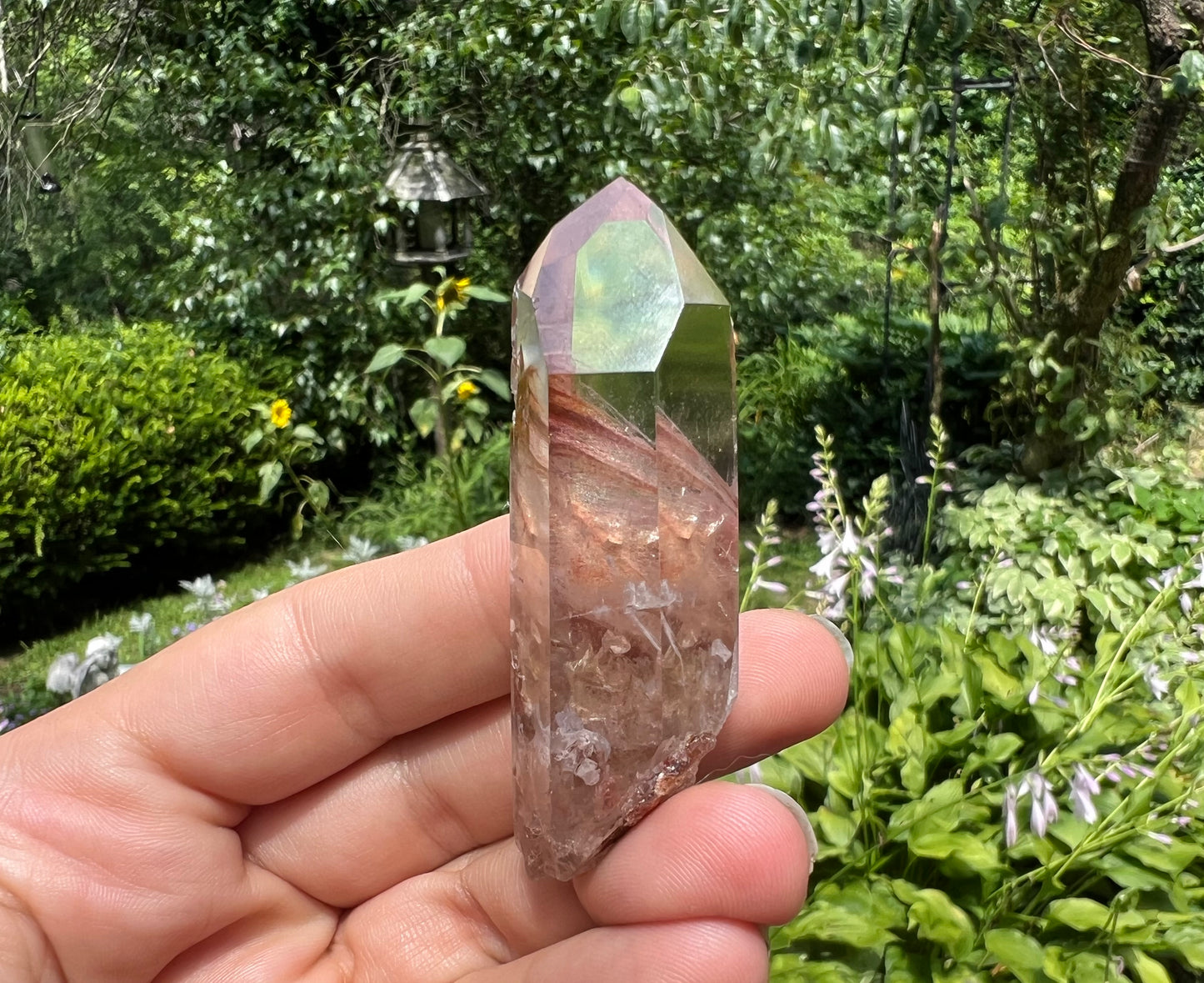 Amphibole Quartz Point