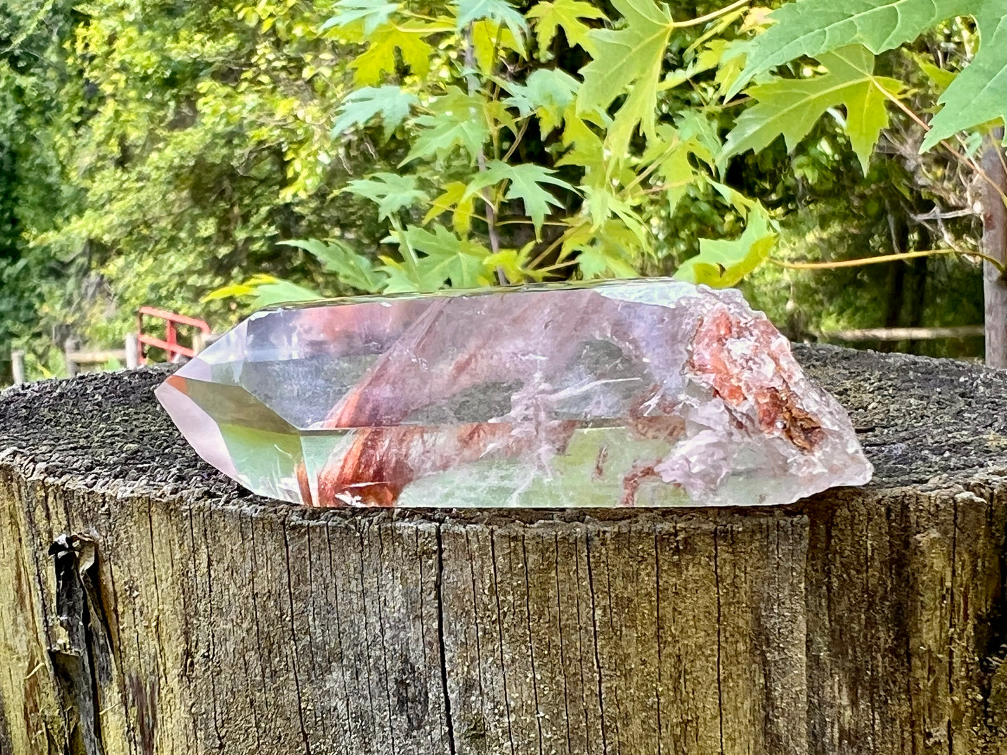 Amphibole Quartz Point