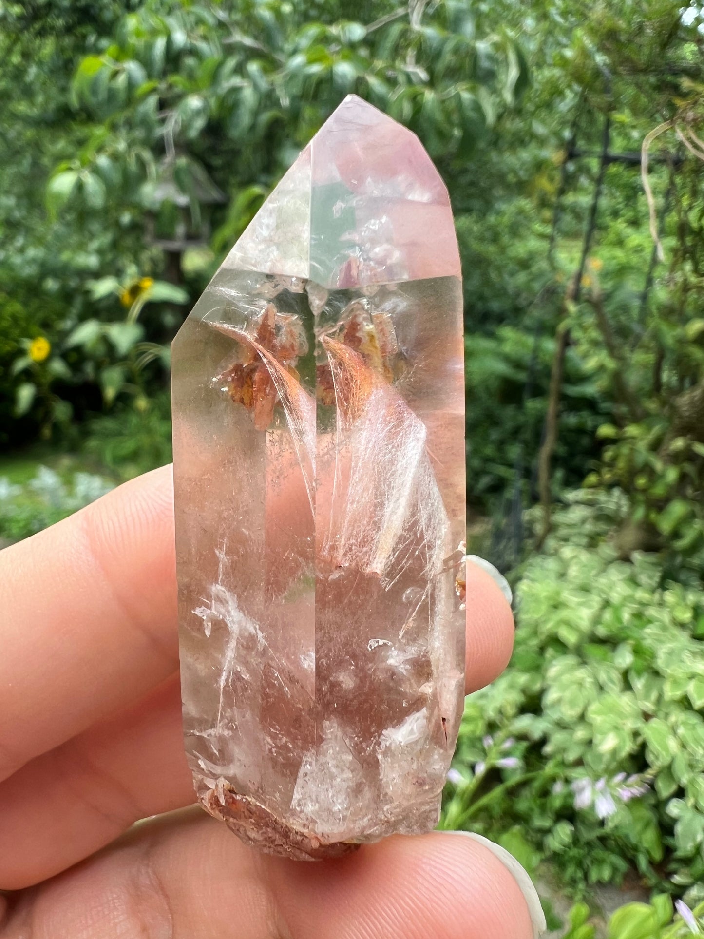 Amphibole Quartz Point