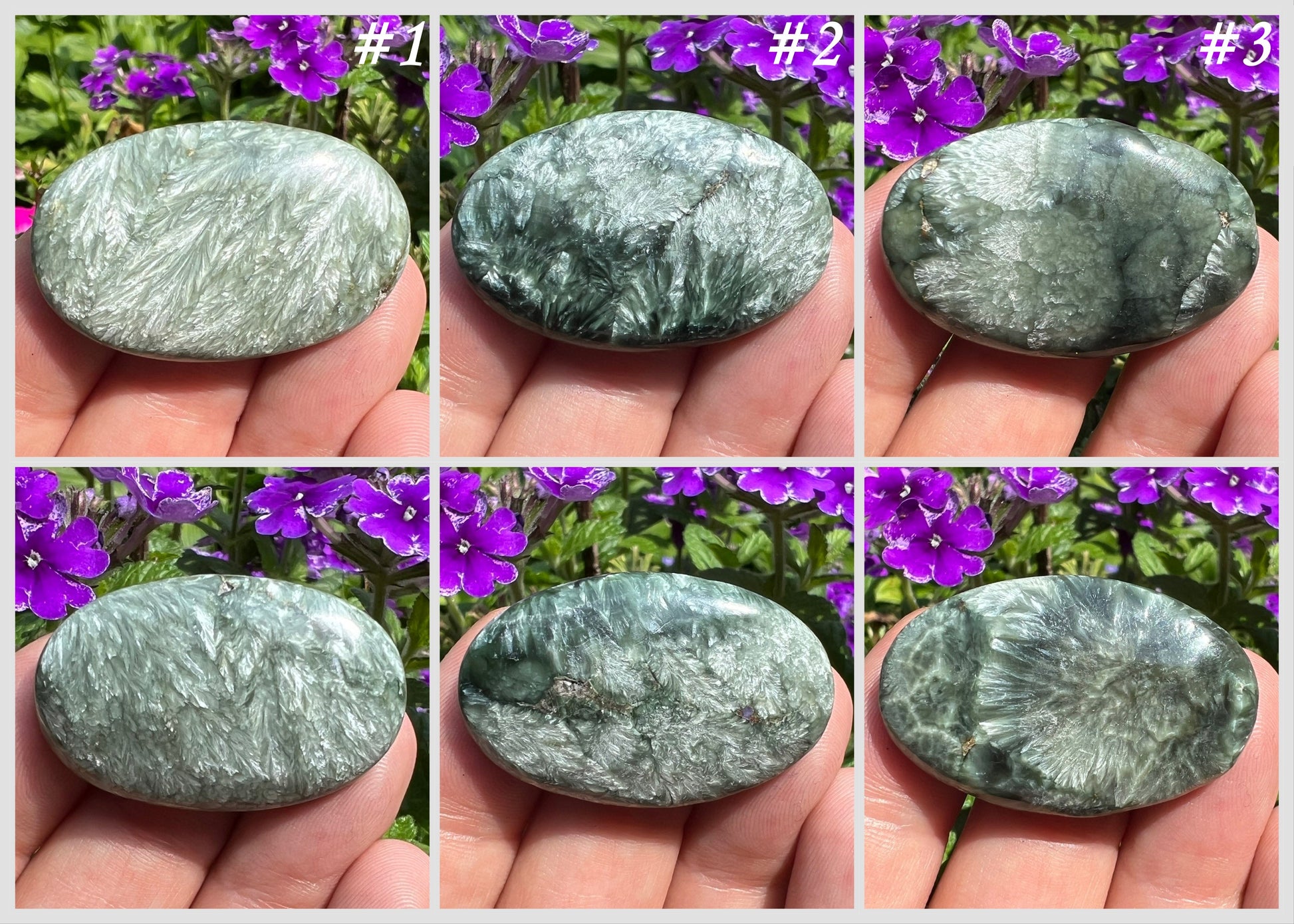 Seraphinite Palmstones - Gem Realm 