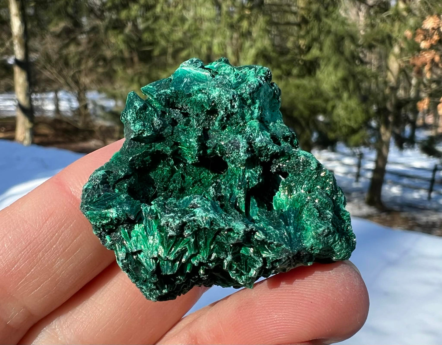 Silk Malachite Specimen #17 - Gem Realm 