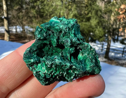 Silk Malachite Specimen #17 - Gem Realm 
